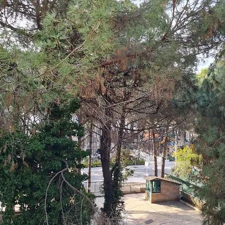 Silent Apartament *