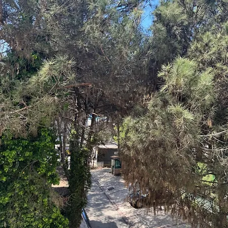 Silent * Golem (Tirana)
