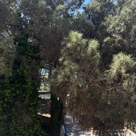 Silent Apartamento *