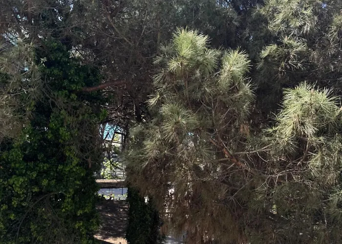 Silent Apartamento *